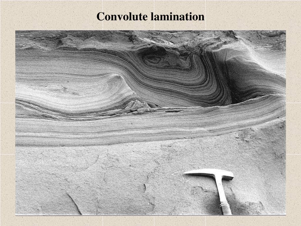 PPT Chapter 4 Sedimentary Structures PowerPoint Presentation ID506595