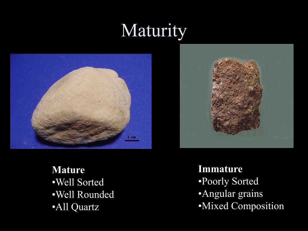 PPT Texture Detrital (Clastic Texture) vs. Chemical (Crystalline