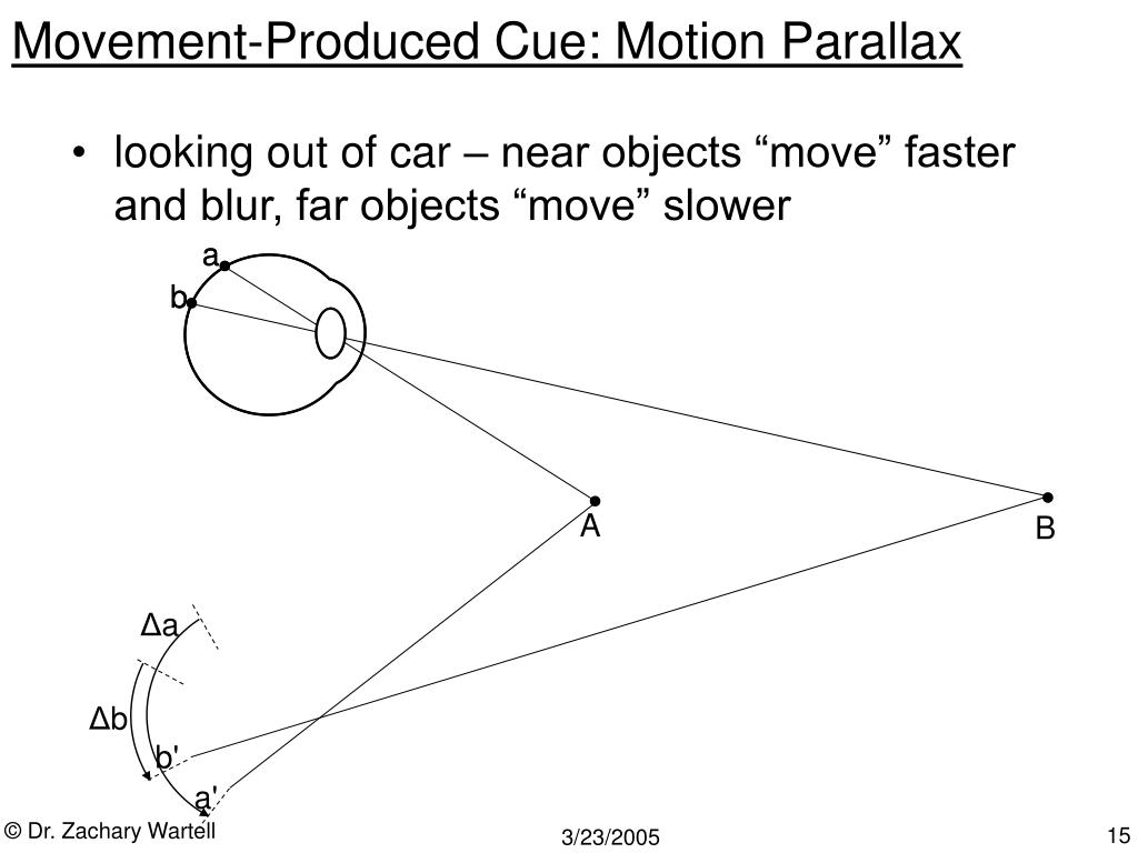 PPT Depth and Size Perception PowerPoint Presentation, free download