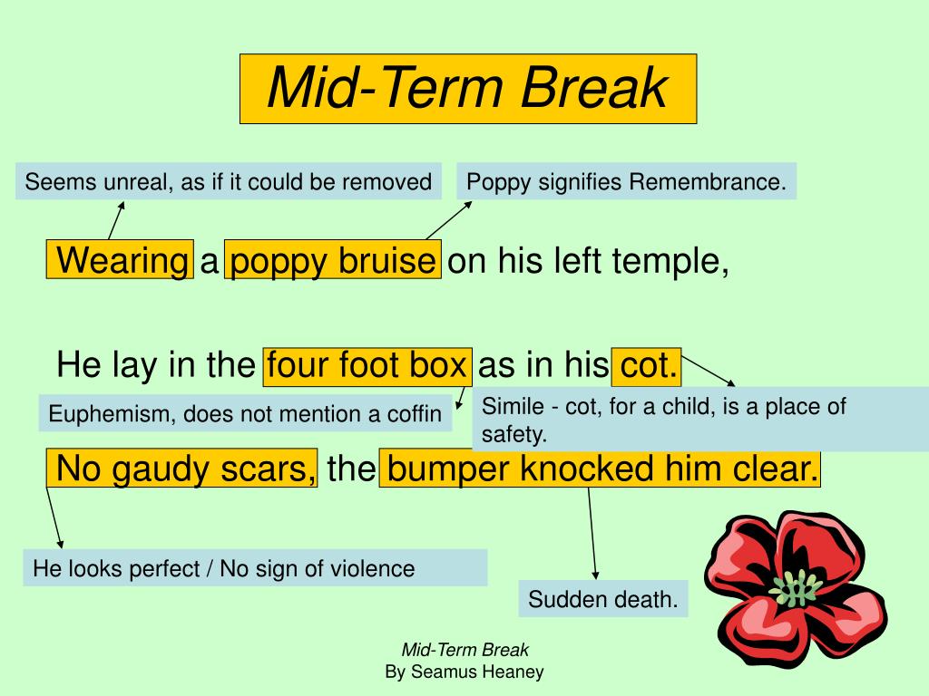 PPT MidTerm Break PowerPoint Presentation, free download ID508311