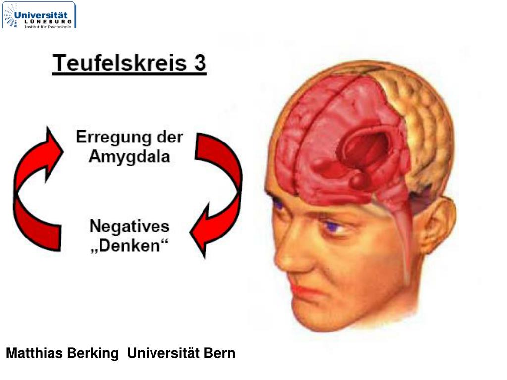 PPT Emotionale Kompetenz und Emotionsarbeit als Basis