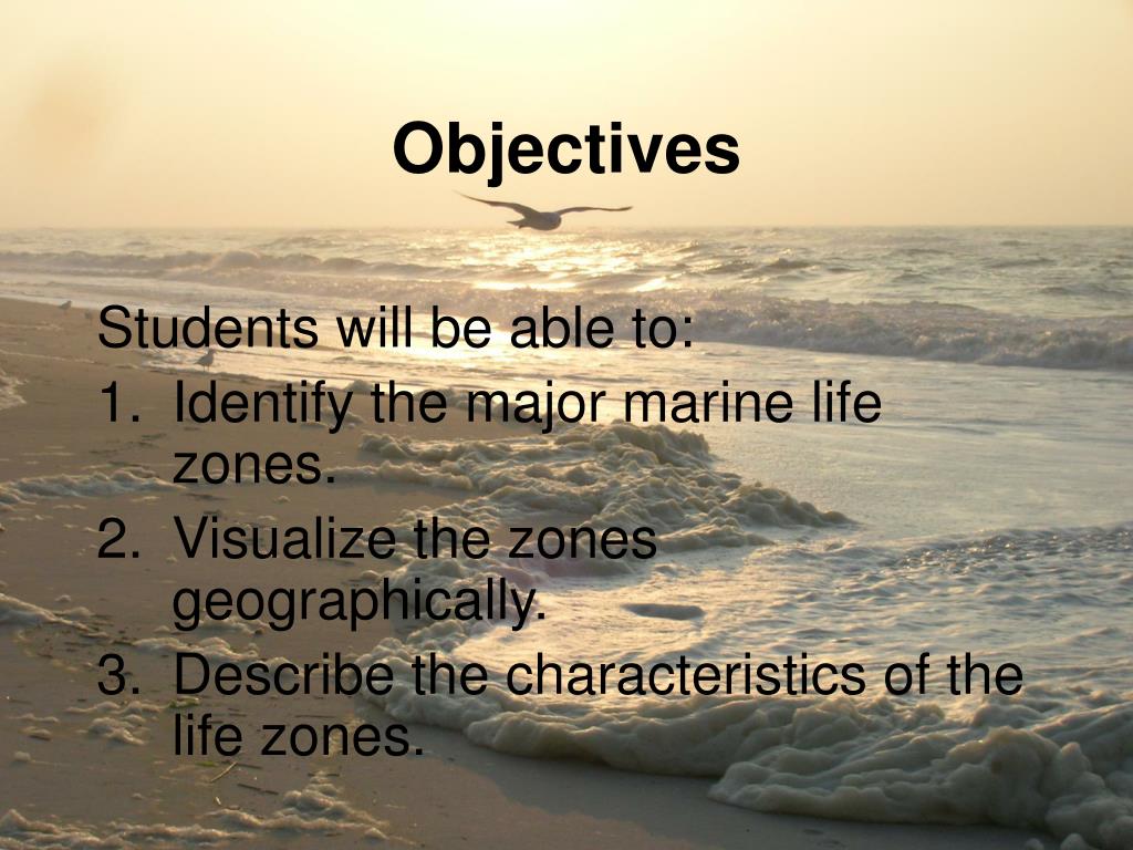 PPT Marine Environments PowerPoint Presentation, free download ID
