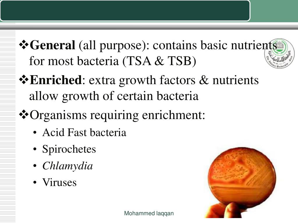 PPT Selective and Differential media PowerPoint
