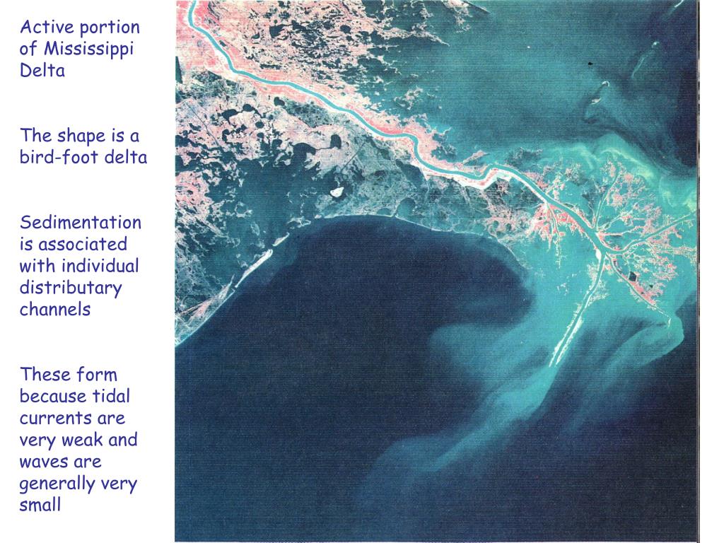 PPT Reading Material PowerPoint Presentation, free download ID514767