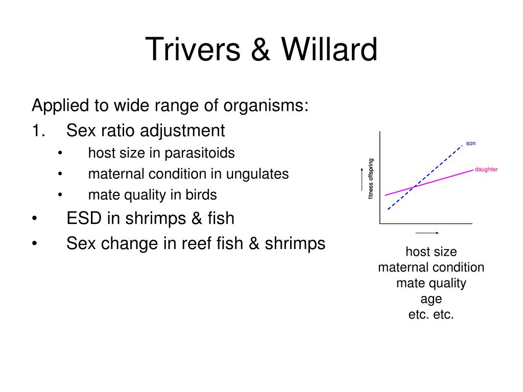 PPT Conditional sex allocation I PowerPoint Presentation, free