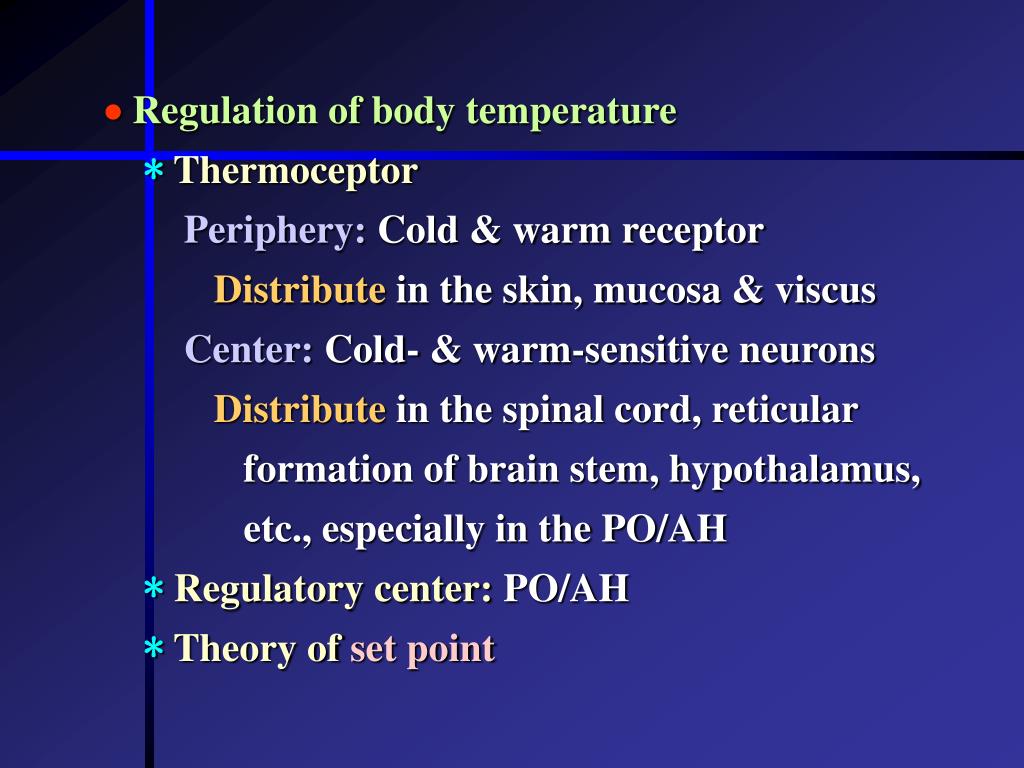 PPT Chapter 7 PowerPoint Presentation, free download ID516112