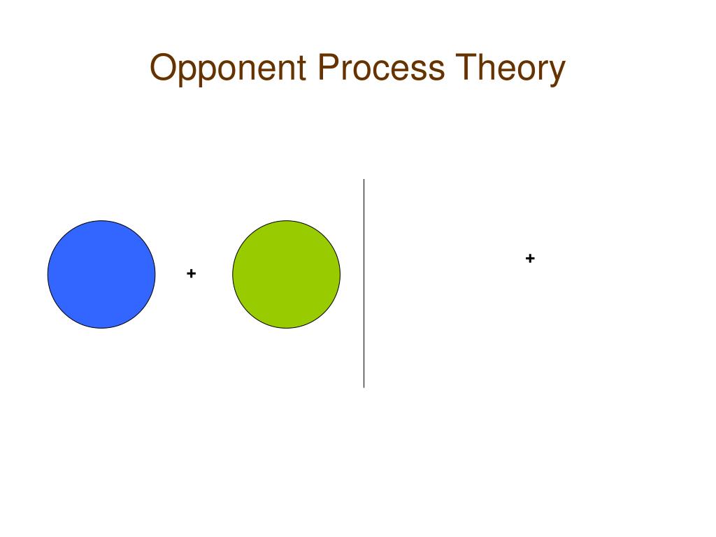 PPT PSY 2012 General Psychology Chapter 5 Sensation and Perception