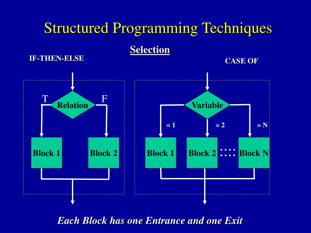PPT The Programming Discipline PowerPoint Presentation, free download ID52114