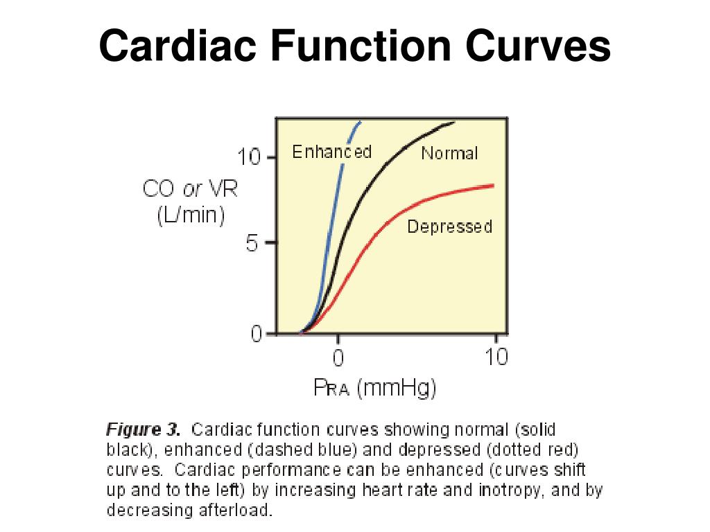 PPT Left Ventricular Function FrankStarling Principle Left