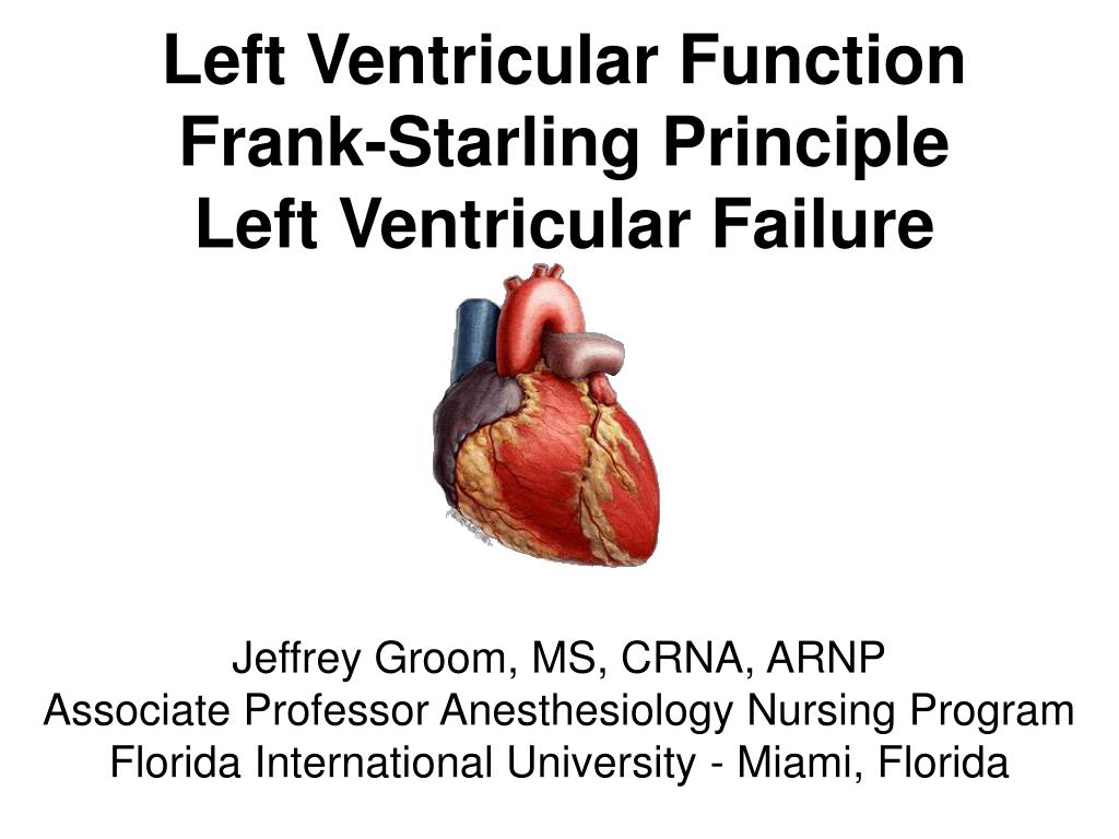 PPT Left Ventricular Function FrankStarling Principle Left