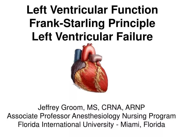 PPT Left Ventricular Function FrankStarling Principle Left