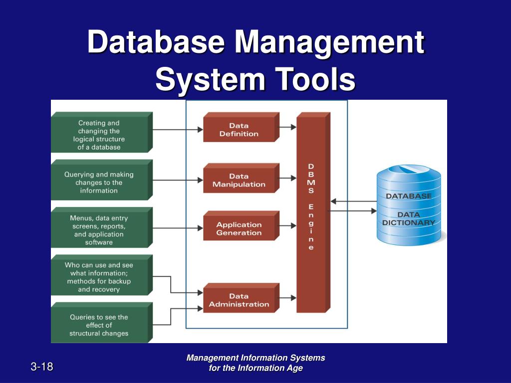 PPT Chapter 3 Databases and Data Warehouses Building Business
