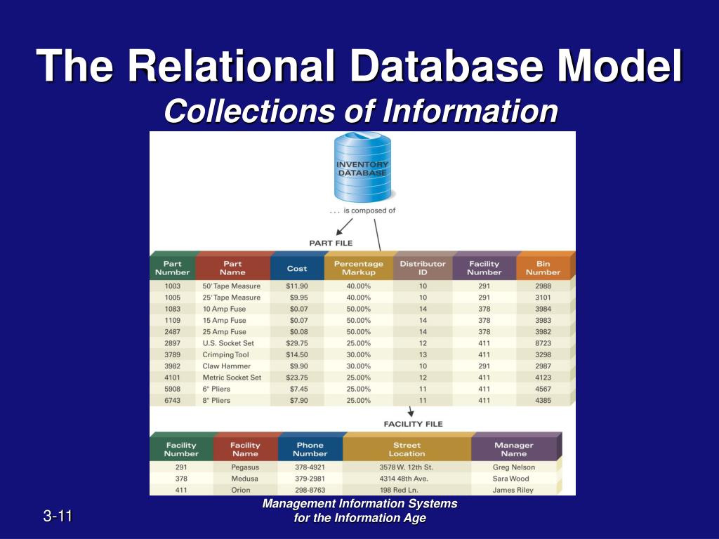PPT Chapter 3 Databases and Data Warehouses Building Business Intelligence PowerPoint