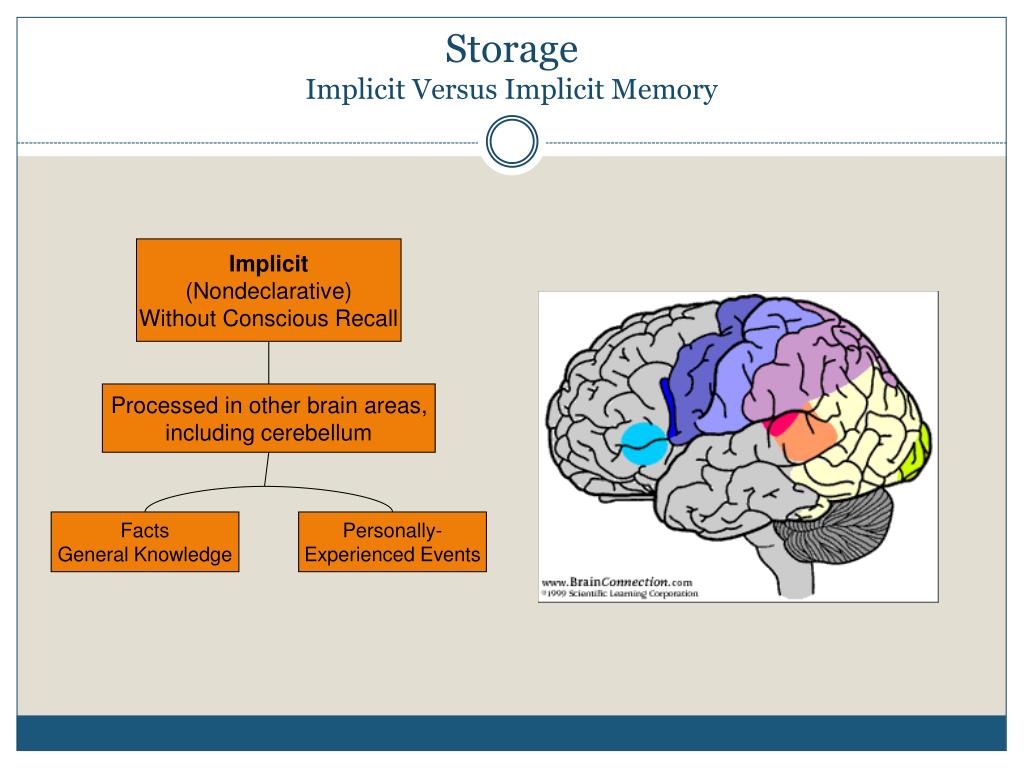 PPT General Psychology (PSY2200 MBAC) PowerPoint