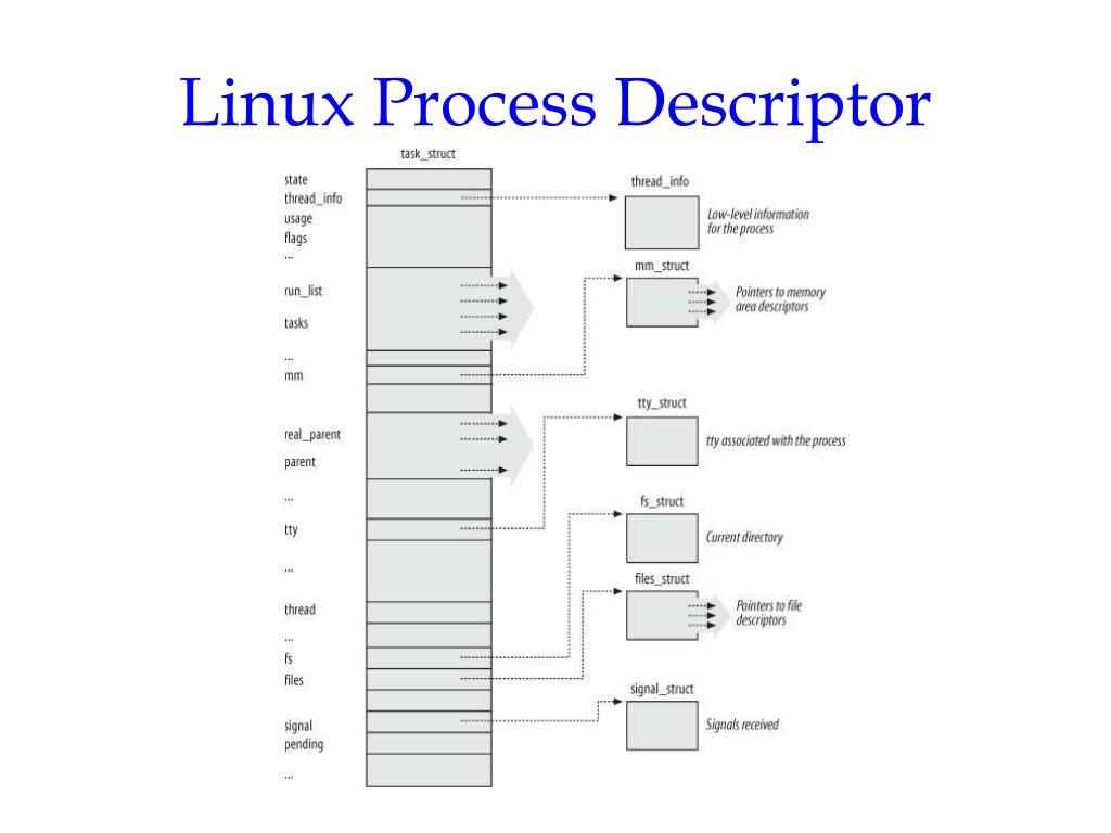 PPT Processes and Threads in Linux (Chap. 3 in Understanding the