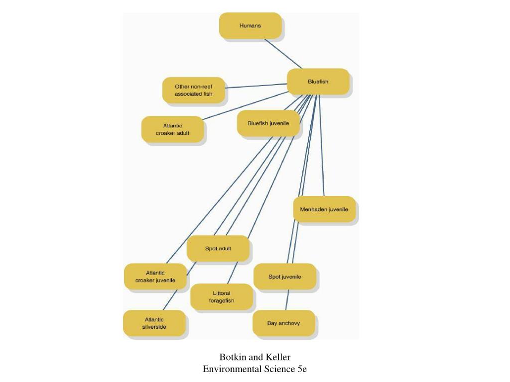 PPT Chapter 14 PowerPoint Presentation, free download ID52802
