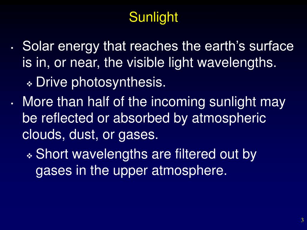 PPT Principles of Ecology Matter, Energy, and Life PowerPoint