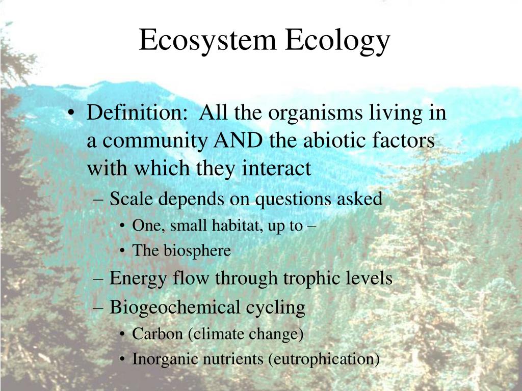 PPT Ecology is The study of the distribution and abundance of