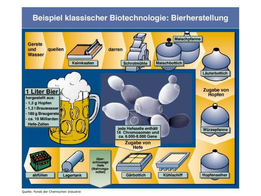 PPT BTG PowerPoint Presentation, free download ID533011