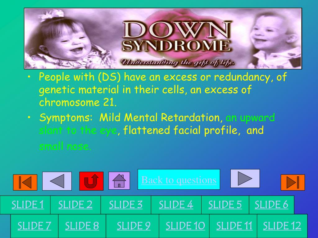 PPT Schreiber Pediatric Rehab Center PowerPoint Presentation, free download ID533147