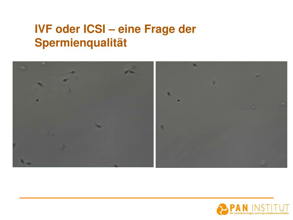 PPT Moderne Fortpflanzungsmedizin PowerPoint Presentation, free