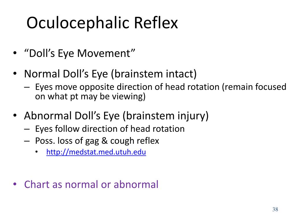PPT Traumatic Head Injury PowerPoint Presentation, free download ID