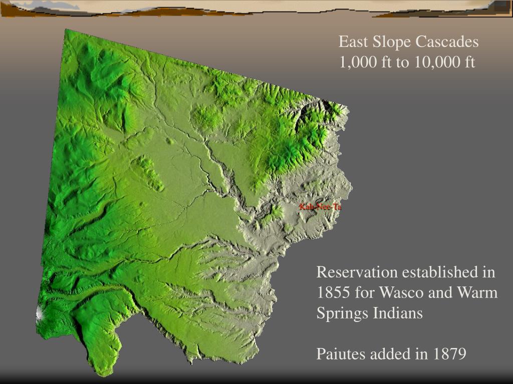 PPT The Evolution of Forest Inventory on the Warm Springs Indian