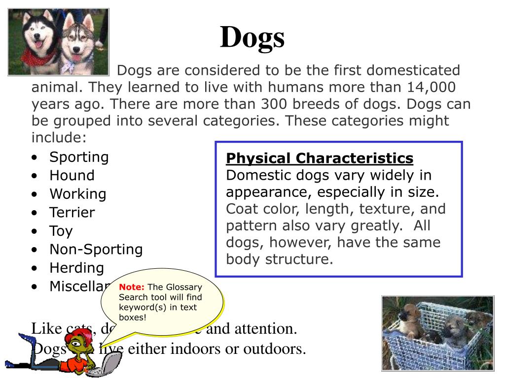 PPT Sample Glossary PowerPoint Presentation, free download ID54033