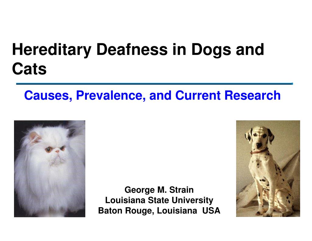 PPT Hereditary Deafness in Dogs and Cats PowerPoint Presentation