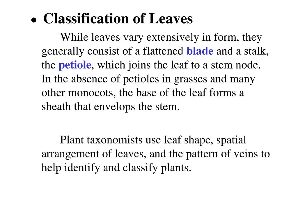 PPT Leaves Classification, Structure and Function PowerPoint