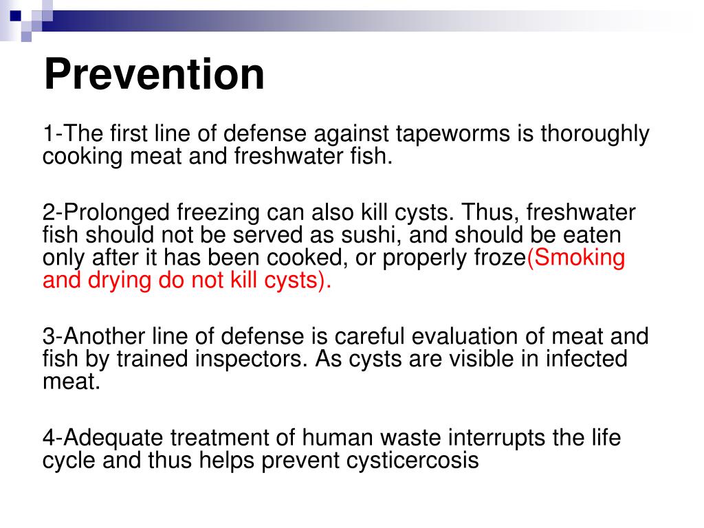 PPT Tapeworm Infection PowerPoint Presentation, free download ID545006