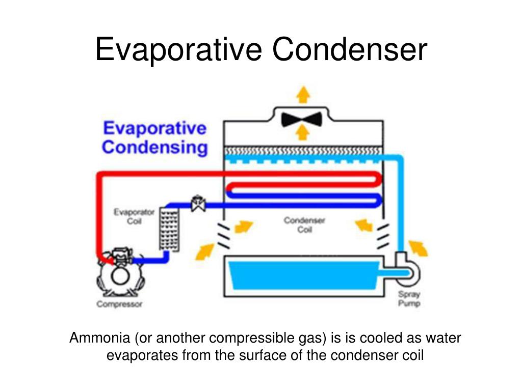 PPT Starting off on the right foot seasonal start up of evap