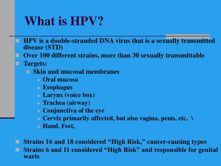PPT Human Papillomavirus (HPV) PowerPoint Presentation