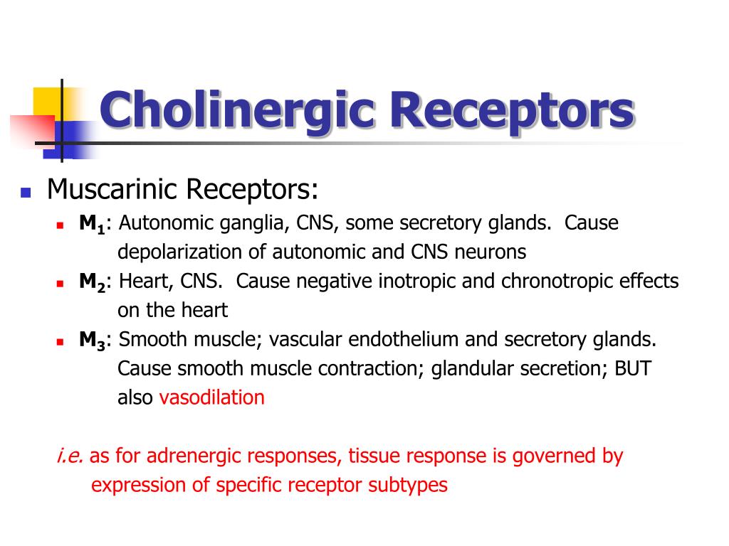 PPT SIGNAL TRANSDUCTION BY ADRENERGIC AND CHOLINERGIC
