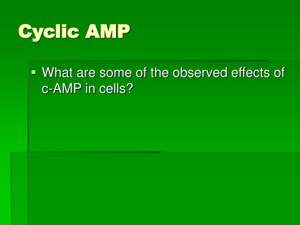 PPT Signal Transduction Mechanisms PowerPoint Presentation, free