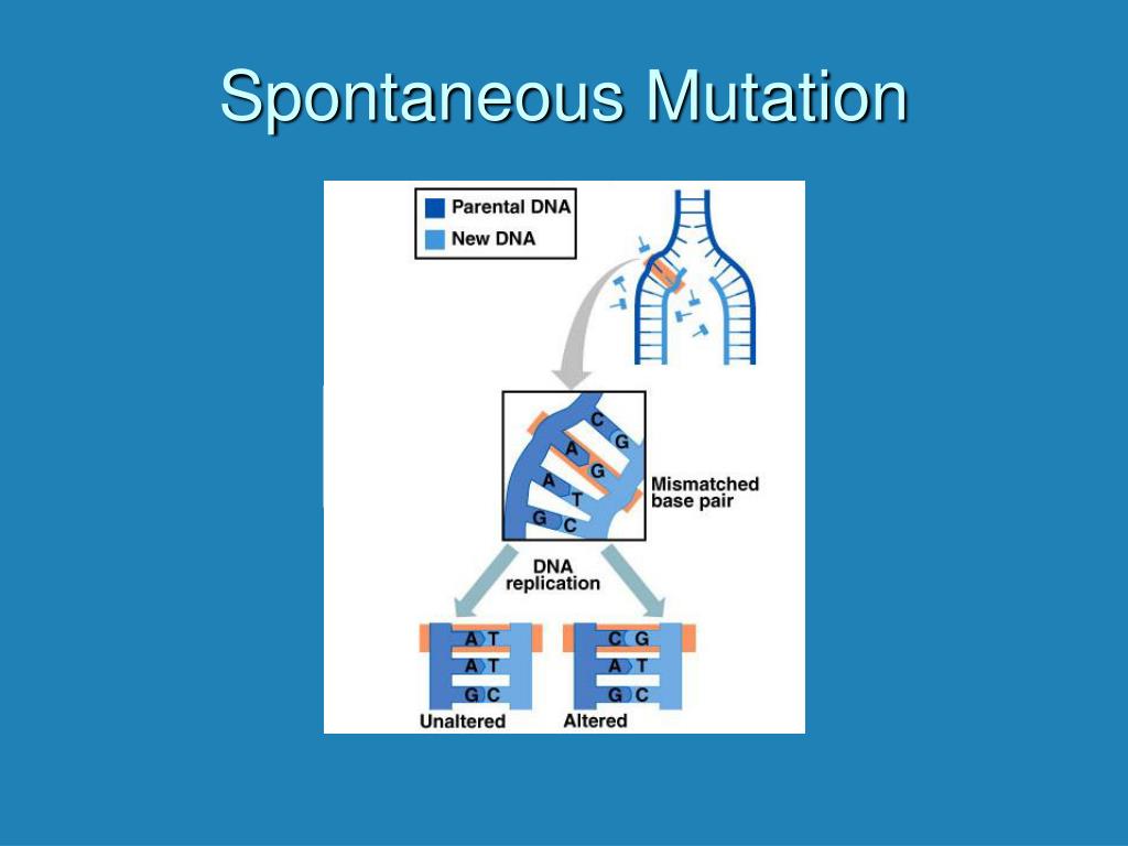 Mutation Meaning