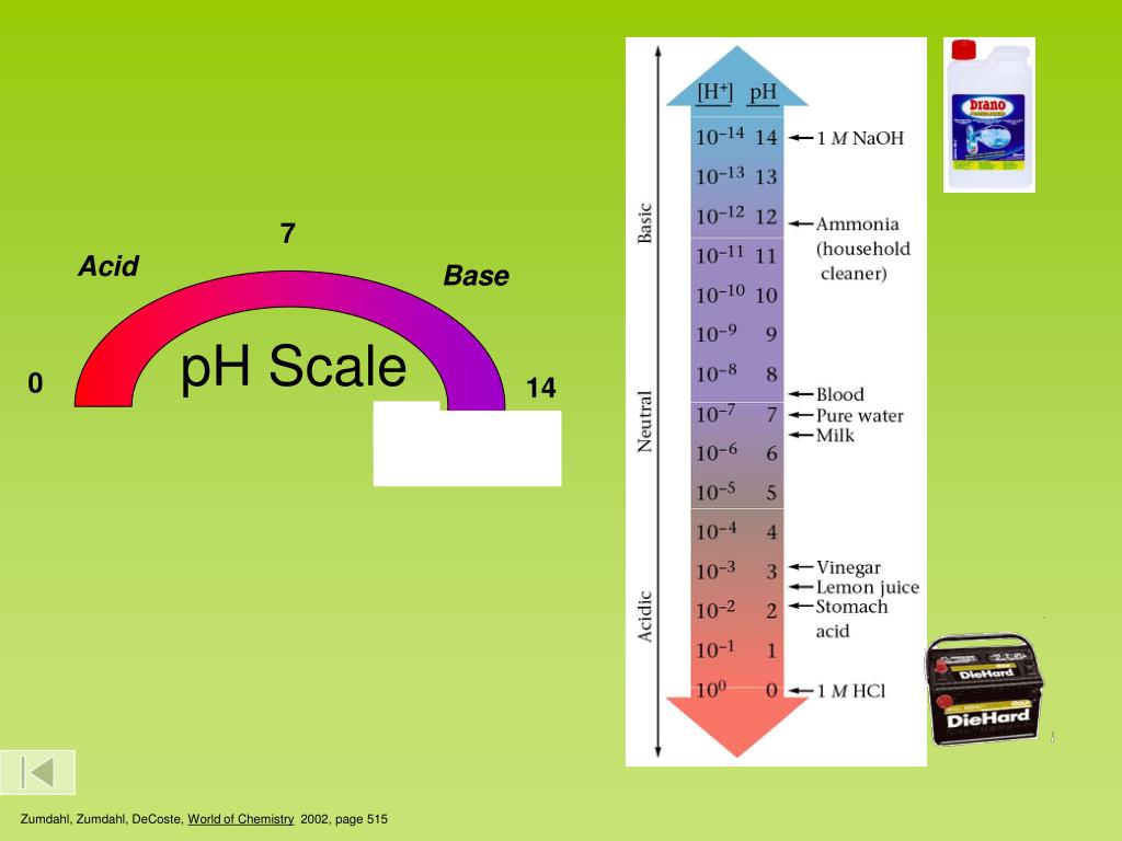 PPT pH Scale and Calculations PowerPoint Presentation, free download