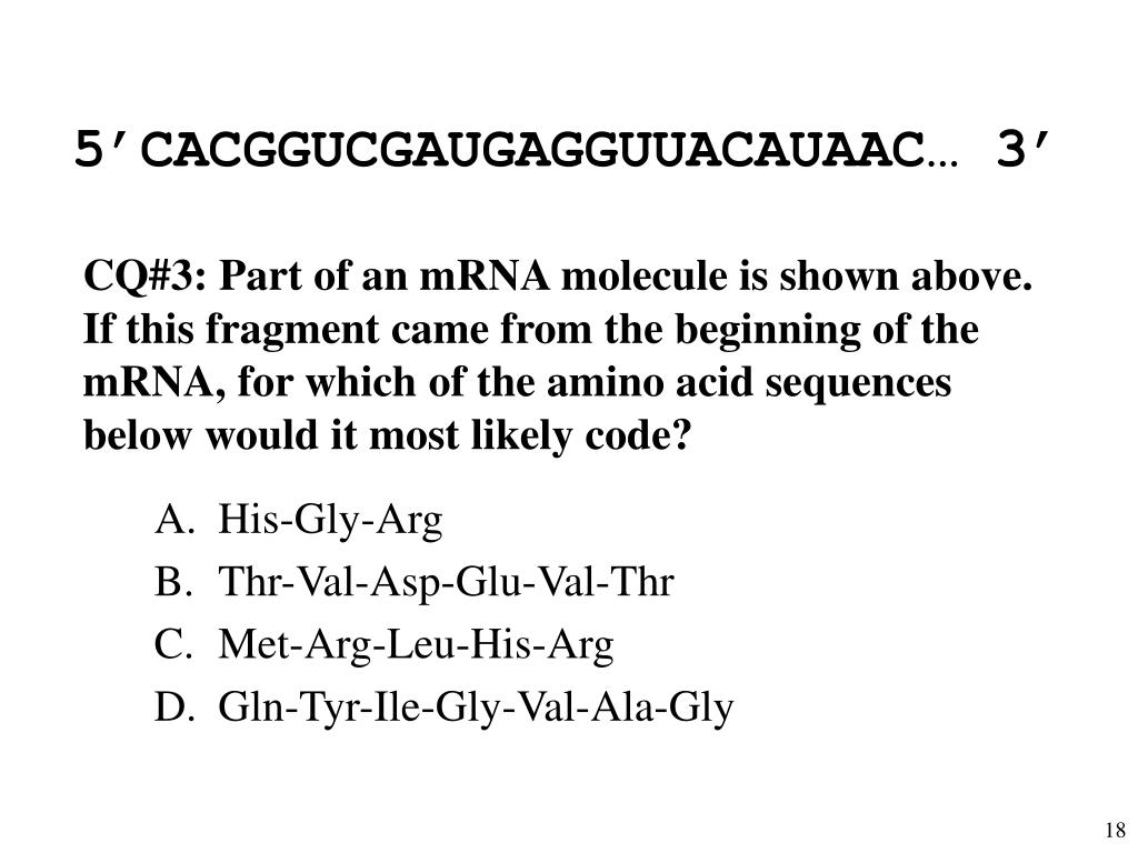 PPT Decoding the Flu Norris Armstrong University of