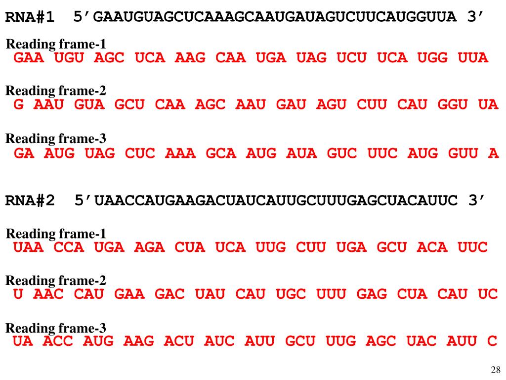PPT Decoding the Flu Norris Armstrong University of