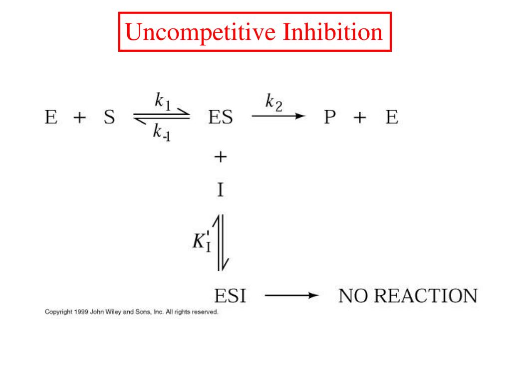 PPT Enzyme II PowerPoint Presentation, free download ID559631