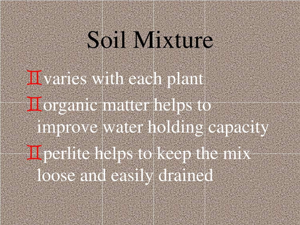 PPT Houseplants PowerPoint Presentation, free download ID559723