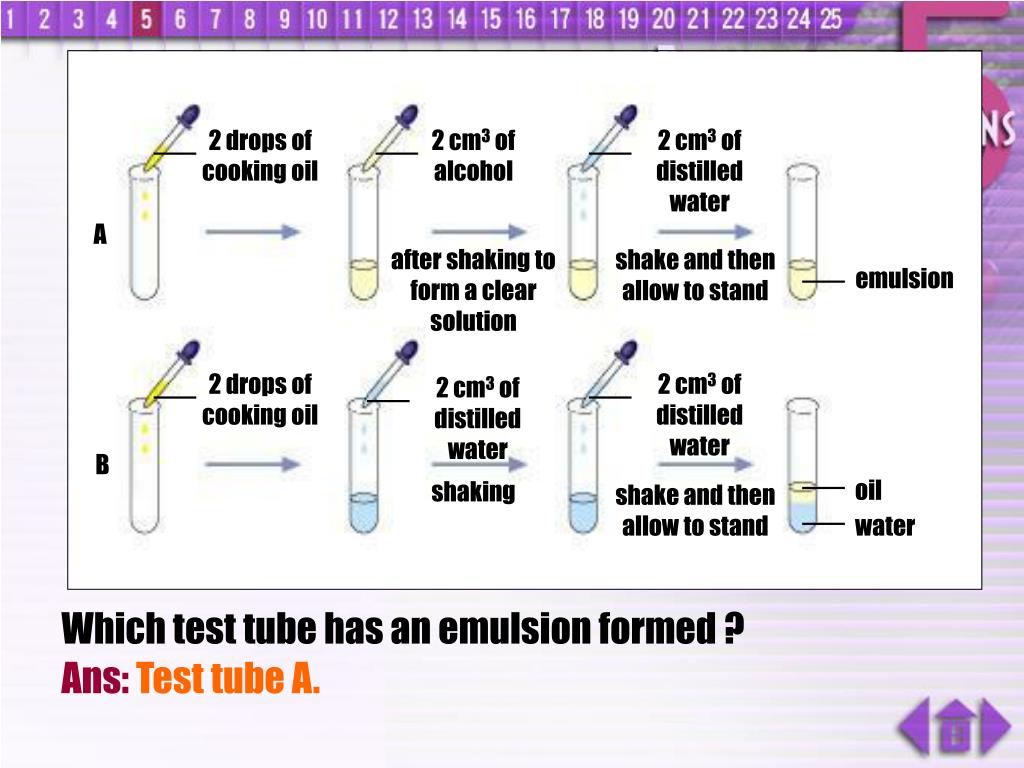 PPT Functions of Food PowerPoint Presentation, free download ID561717