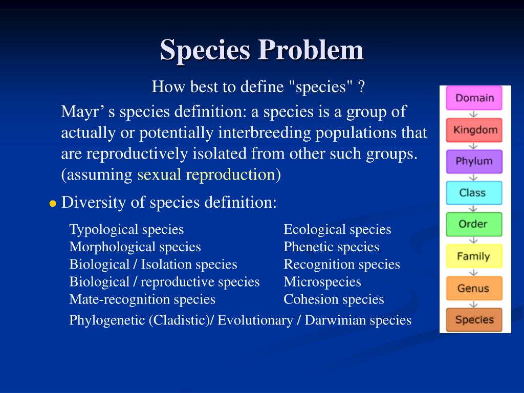 PPT The Mutation Theory and the SpeciesConcept PowerPoint
