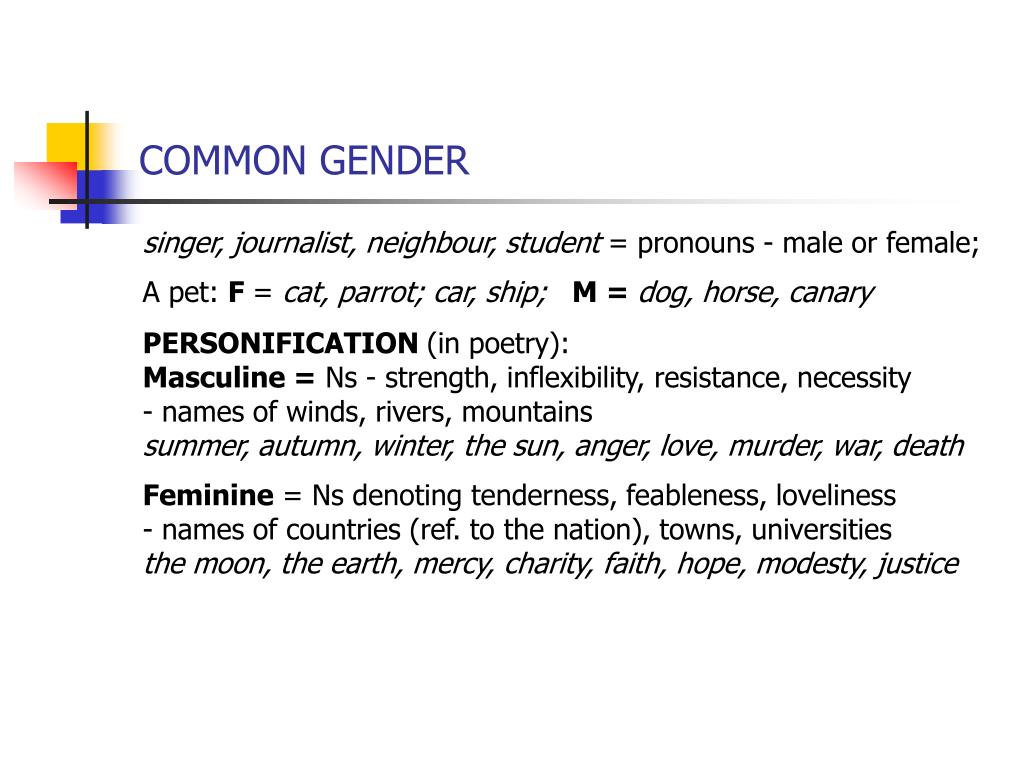 PPT GRAMMATICAL STRUCTURE OF THE ENGLISH LANGUAGE PowerPoint