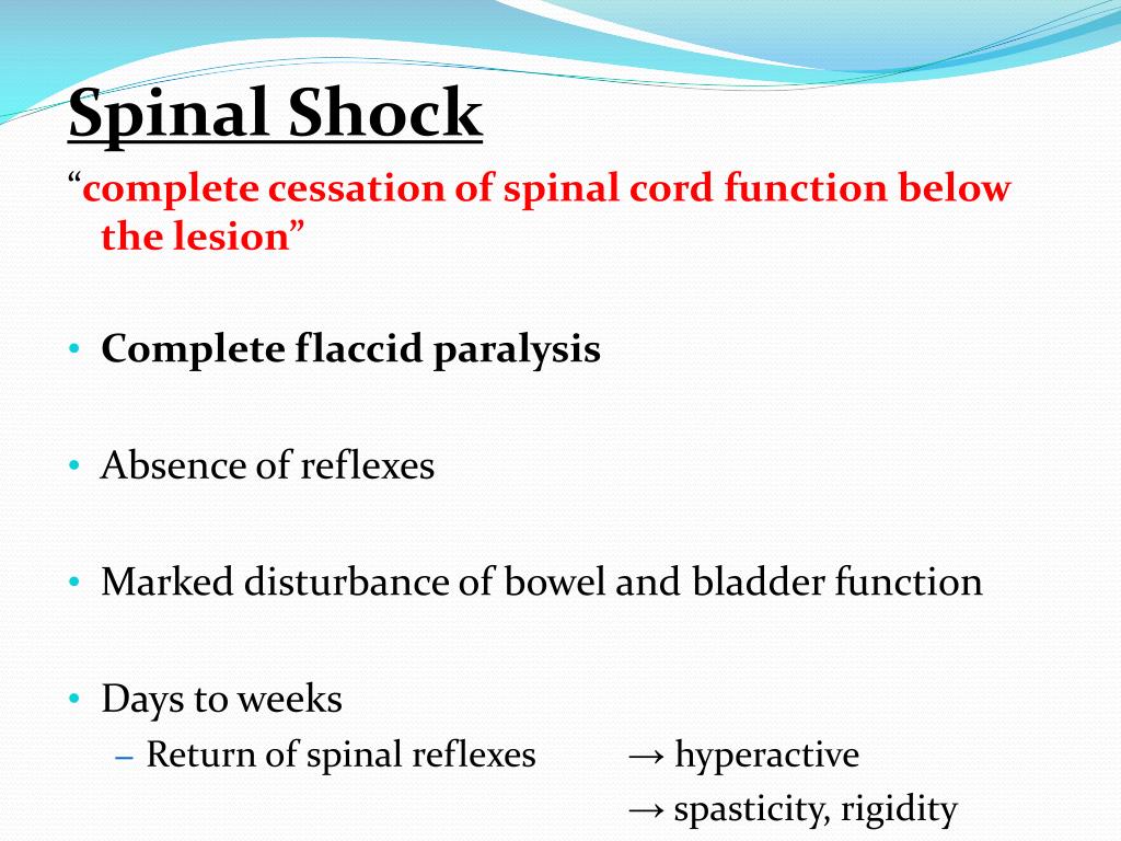 PPT Alterations in Cognitive Systems, Cerebral Hemodynamics , and