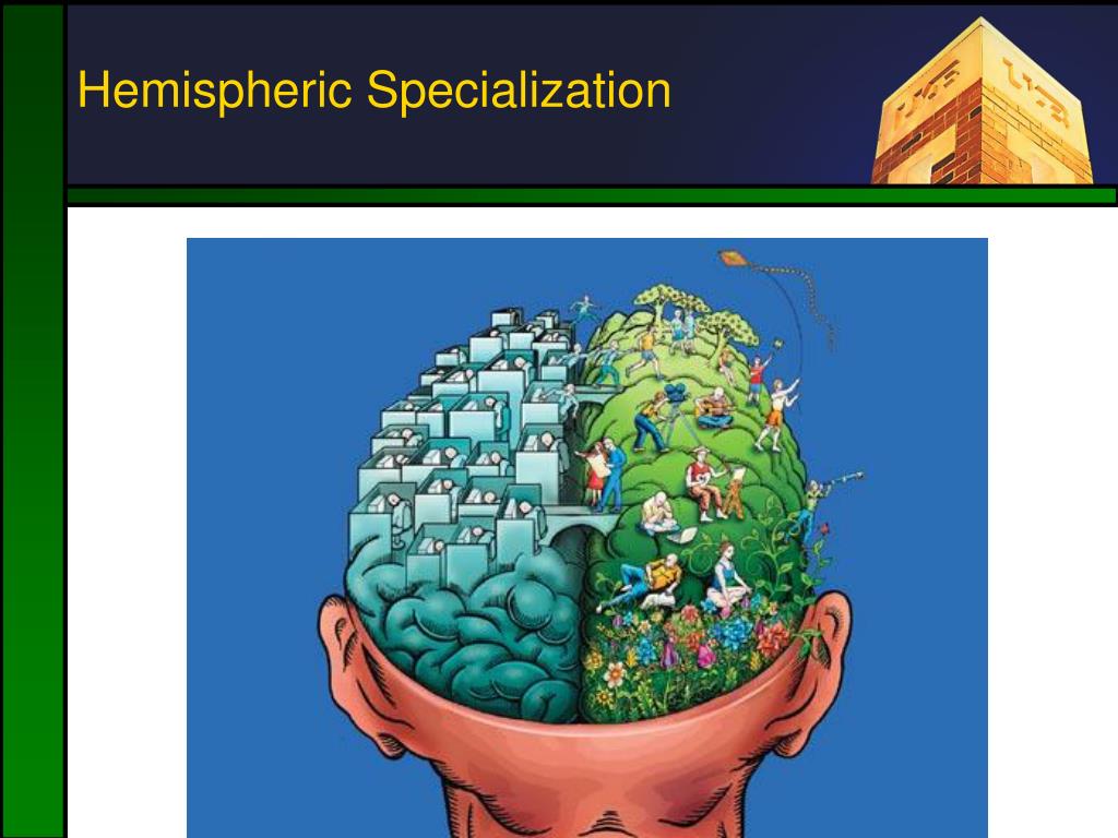 PPT Higher Cognition PowerPoint Presentation, free download ID562570