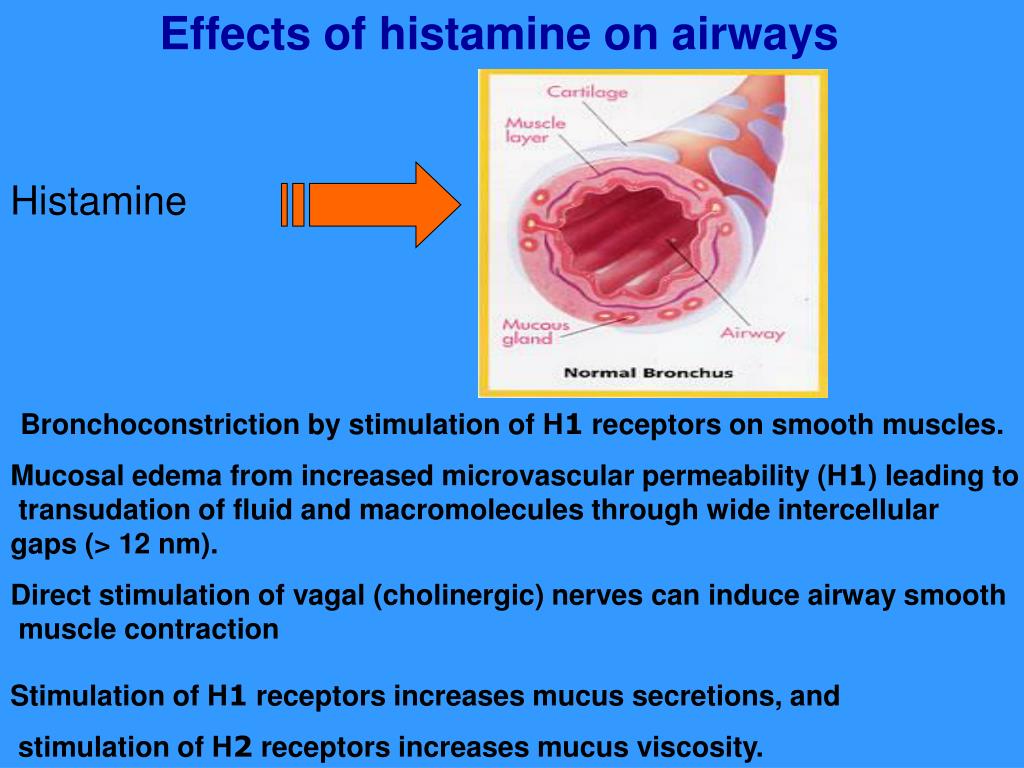 PPT Portier and Richet first coined the term anaphylaxis. PowerPoint