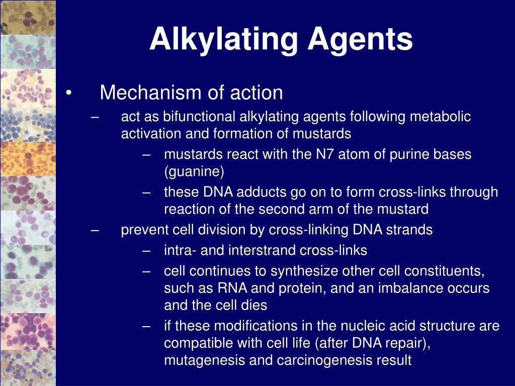 PPT Introduction to Conventional Chemotherapy PowerPoint Presentation