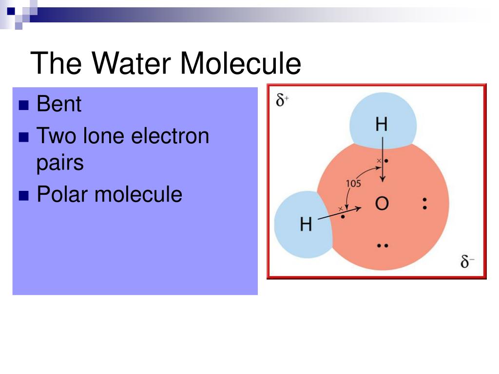 PPT Water and Aqueous Systems PowerPoint Presentation, free download