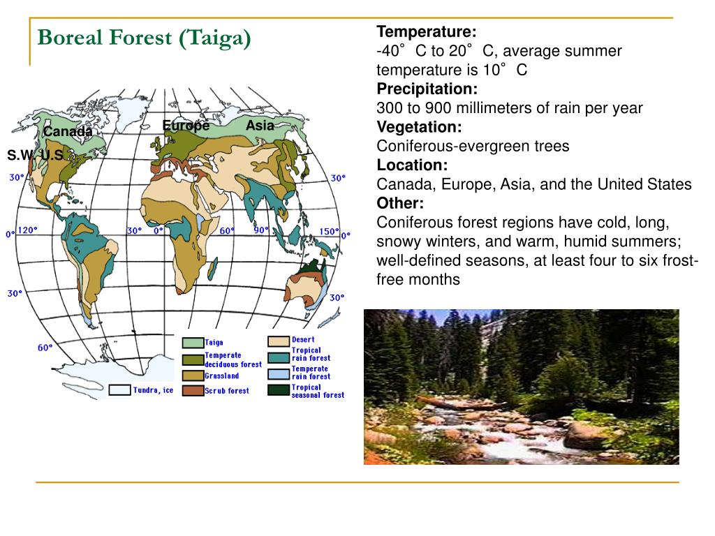 PPT Terrestrial Ecosystem Response to Climate Change PowerPoint